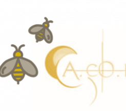 Logo ACOR et abeille