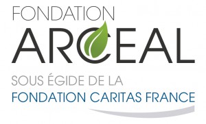Logo fondation ARCEAL