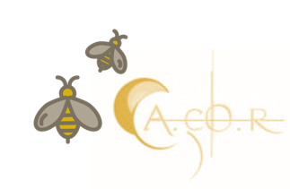 Logo ACOR et abeille