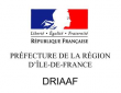 Logo DRIAAF