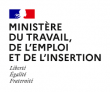 ministère travail emploi insertion