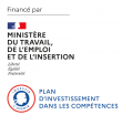 Ministère du travail, de l'emploi et de l'insertion, Plan d'investissement dans les compétences