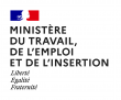Logo ministère du travail, de l'emploi et de l'insertion