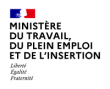 Ministère du travail, du plein l'emploi et de l'insertion